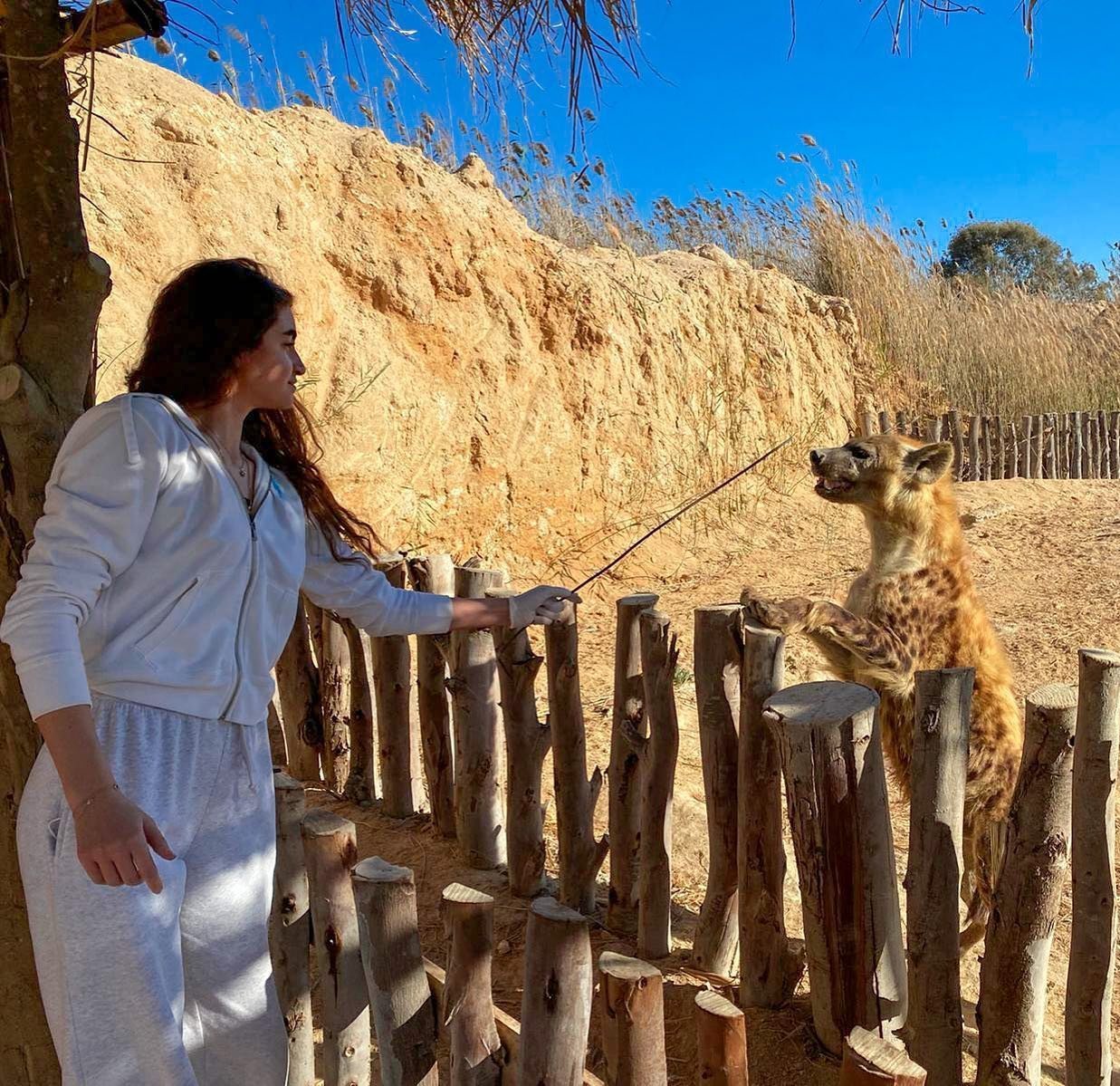 رحلات افريكانو بارك واسكندرية