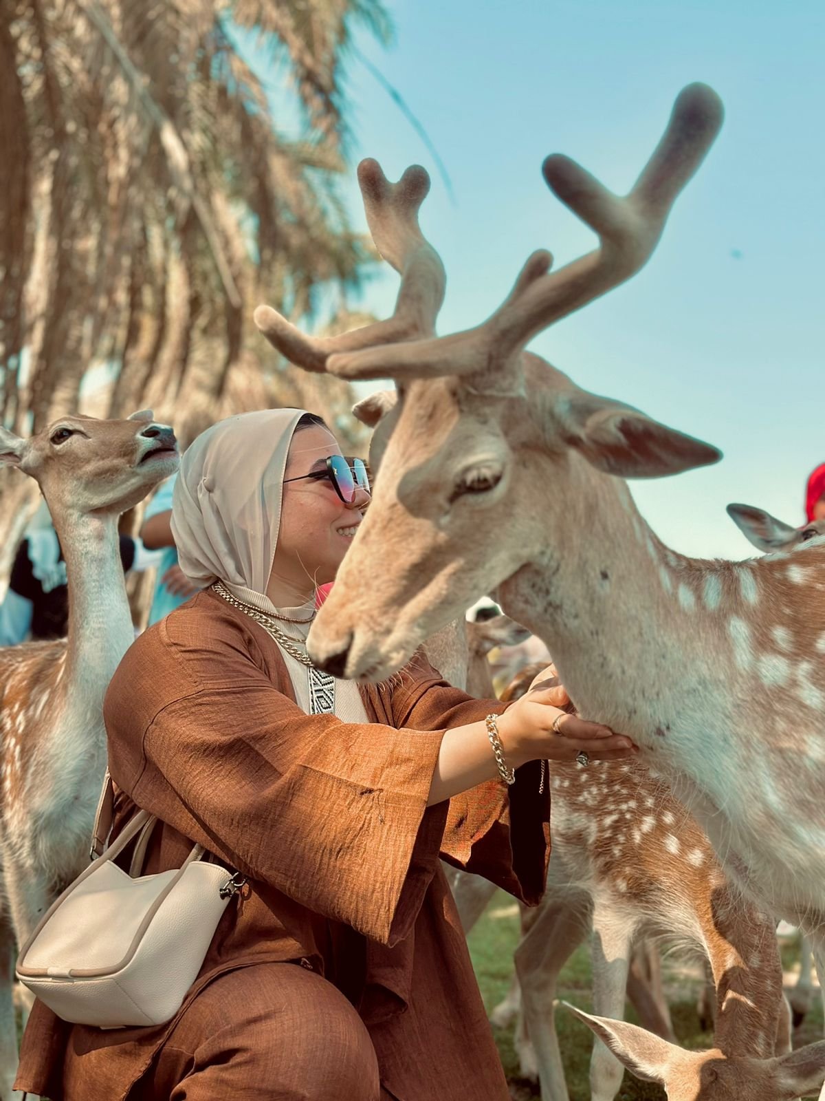 رحلة افريكانو بارك