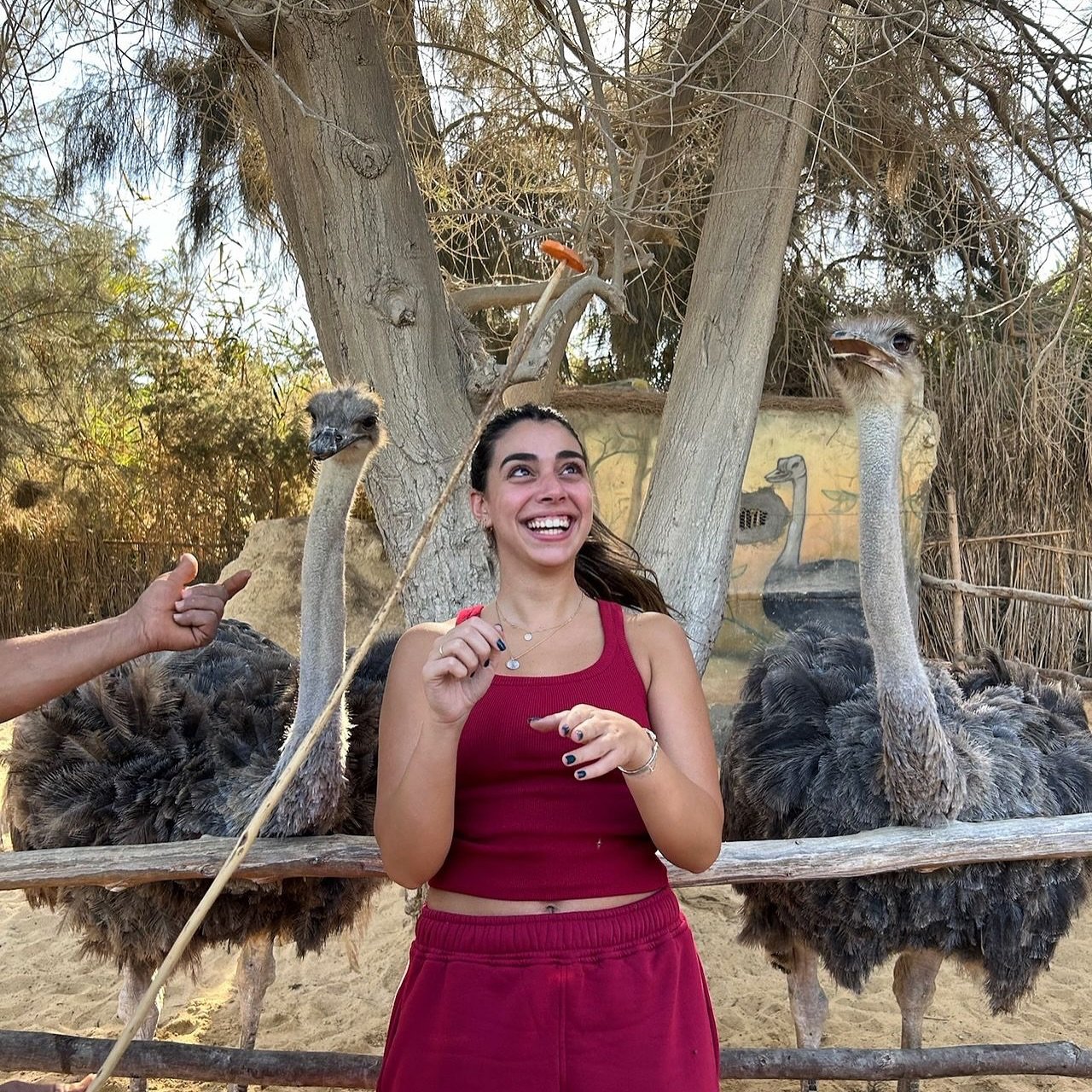 رحلاات افريكانو بارك 