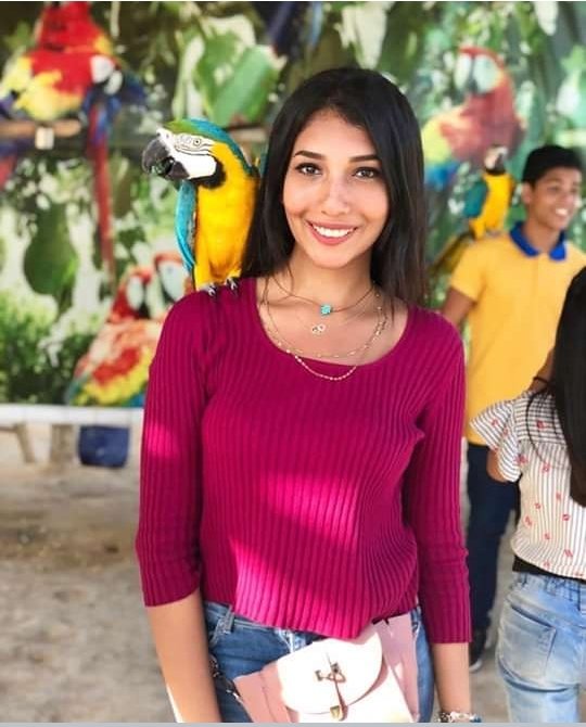 افريكانو بارك