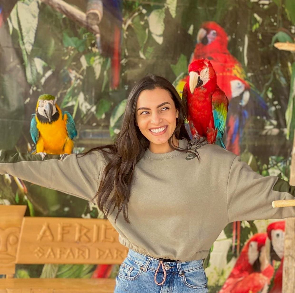 اوفر لرحله افريكانو