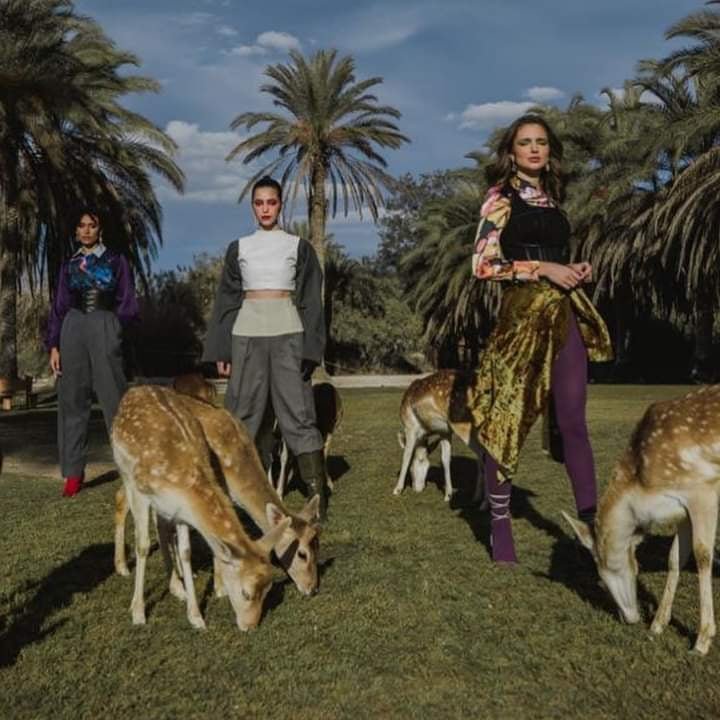 عروض خاصه لرحله افريكانو بارك مع 99