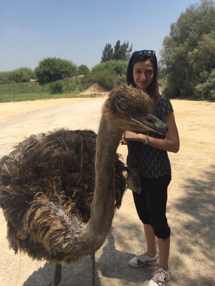 النعامة من اسرع الطيور علي الارض ..