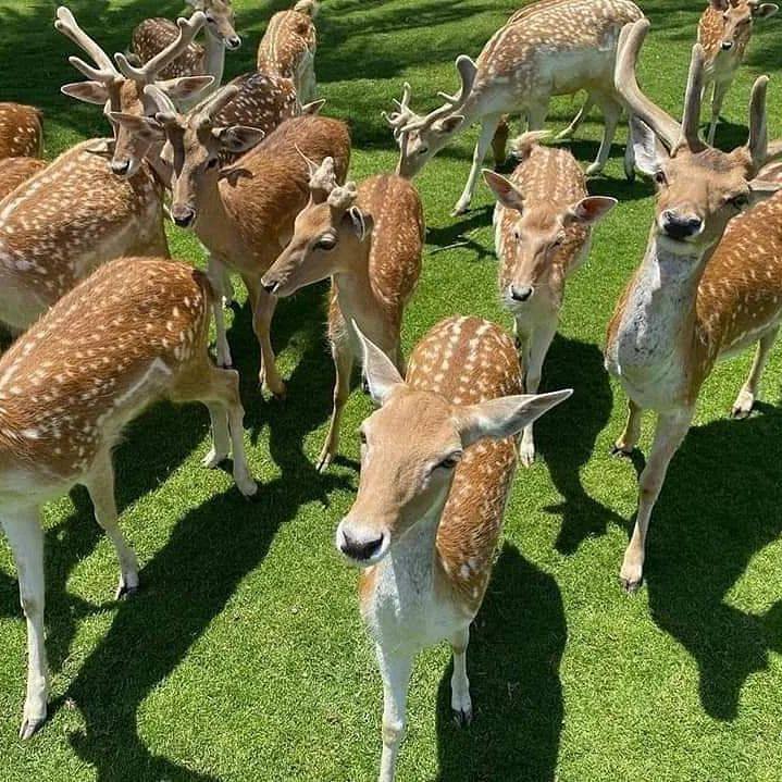 رحله افريكانو بارك والاسكندريه