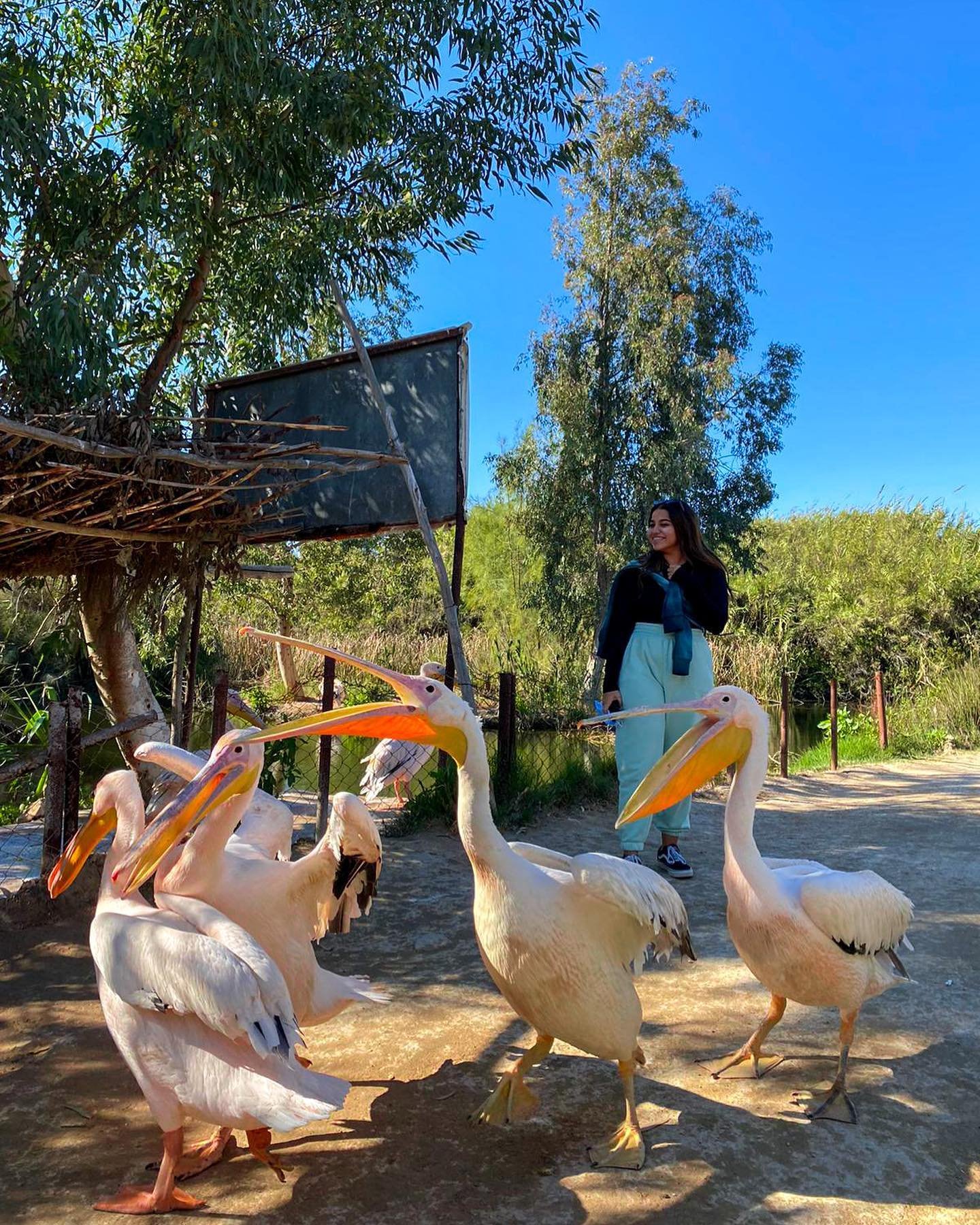 خصم علي رحلة راس السنة