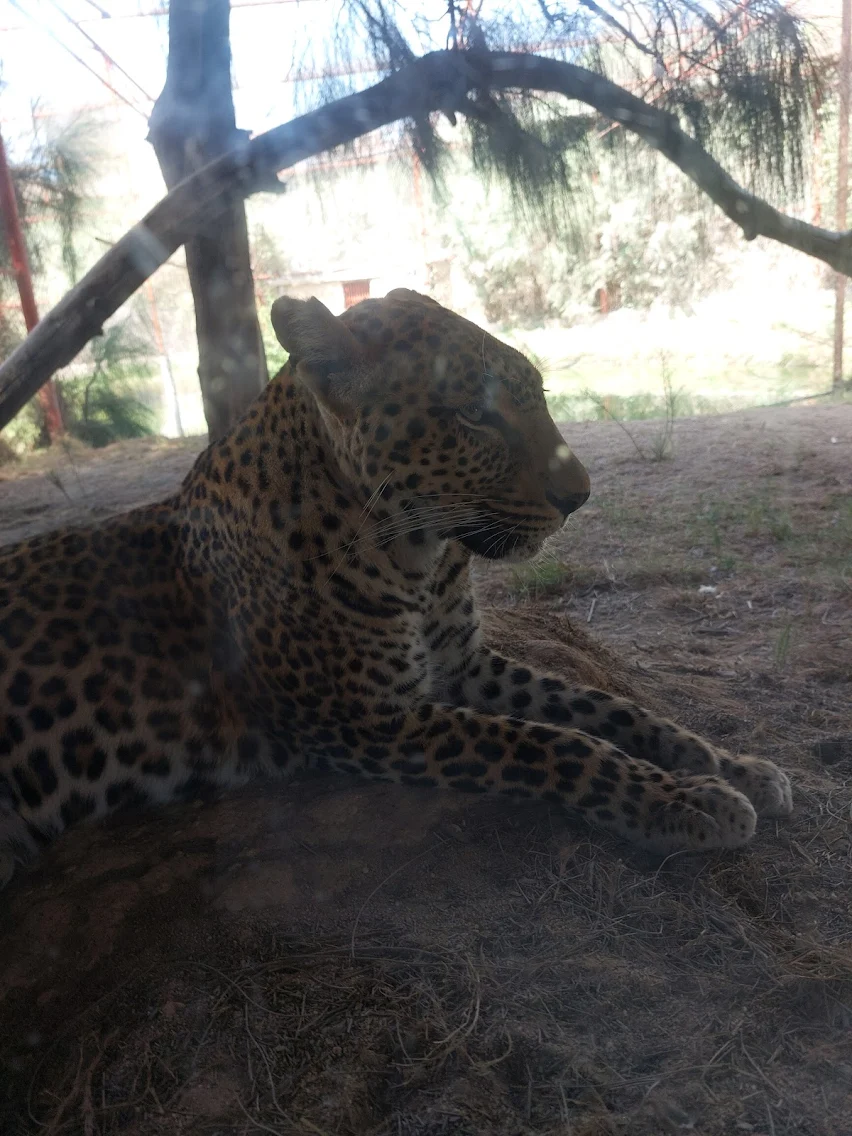 ما هي افريكانو بارك ( Africano Park) ؟