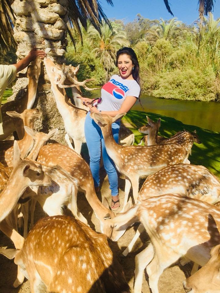 🎉عروض رحلة افريكانو بارك🎉