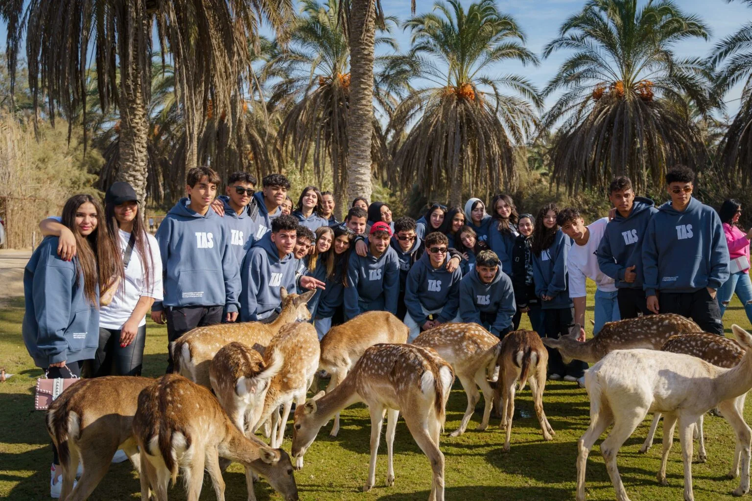 Group Trips - Africano Park