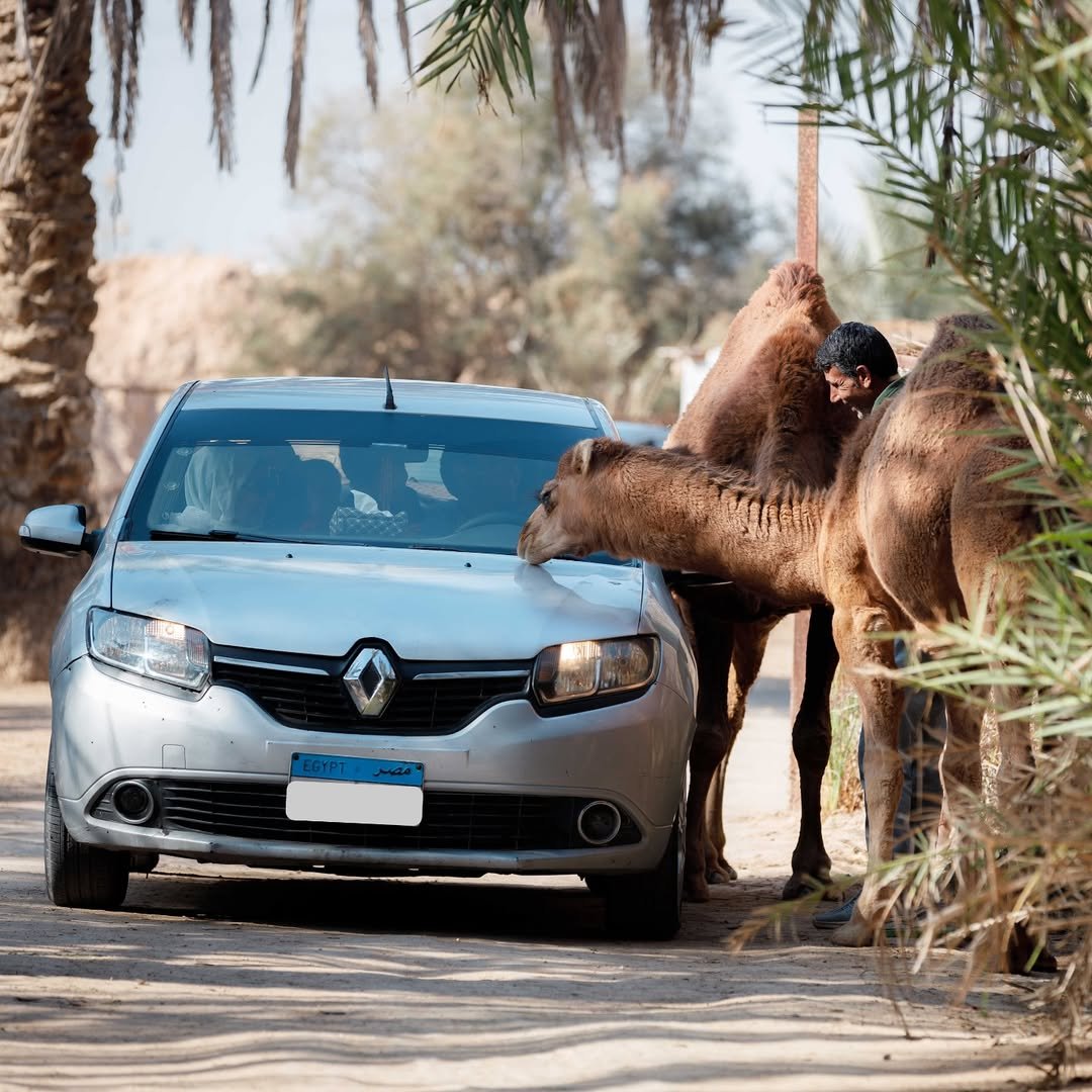رحلات افريكانو بارك