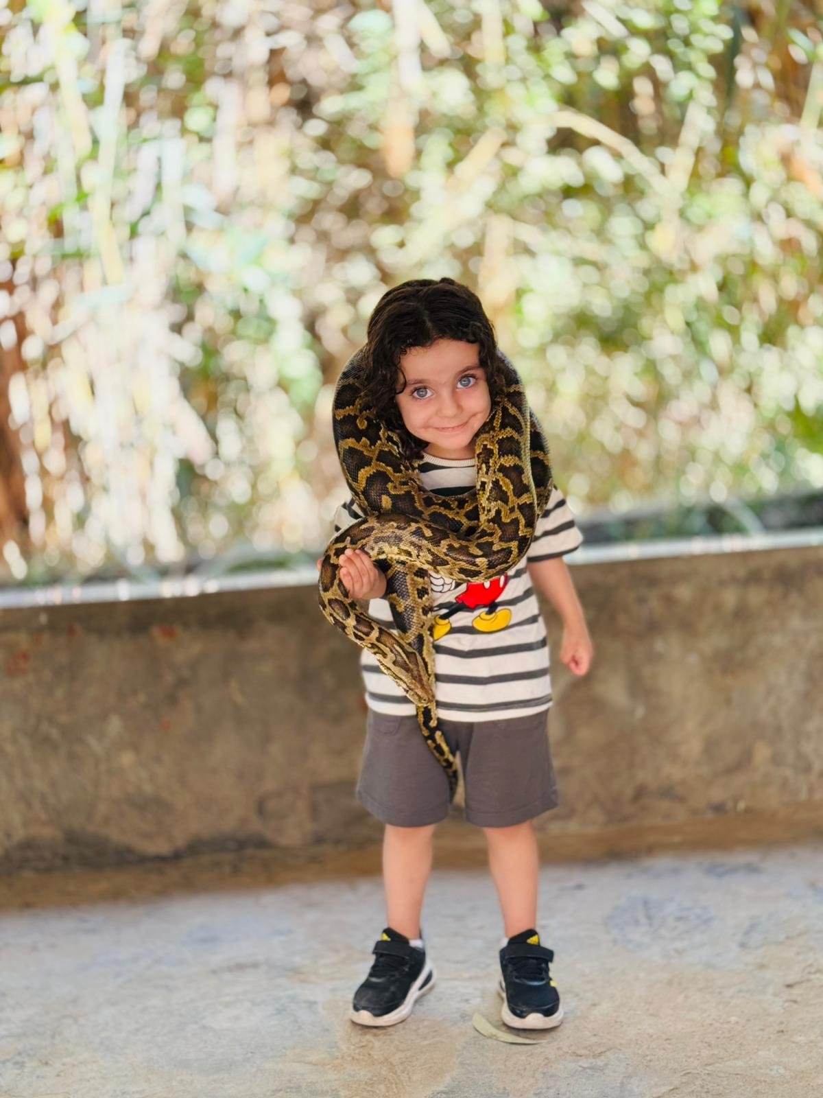 Africano Park and Alexandria trip - Africano Park