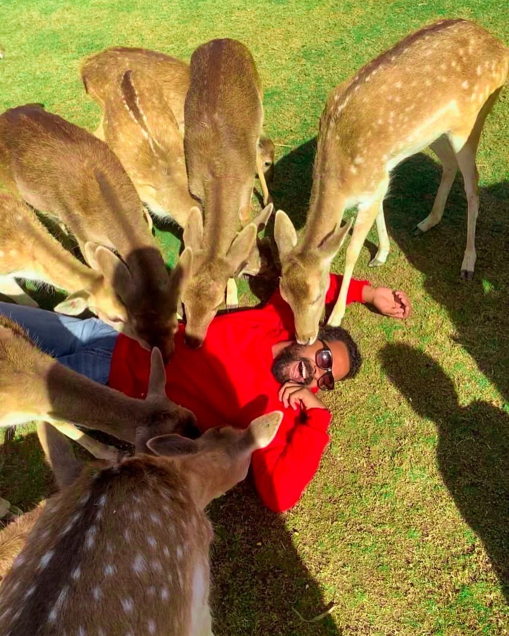 Africano Park and Alexandria trip - Africano Park