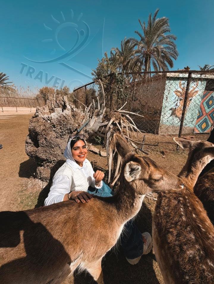 Eid trips to Africano Park and Alexandria - Africano Park