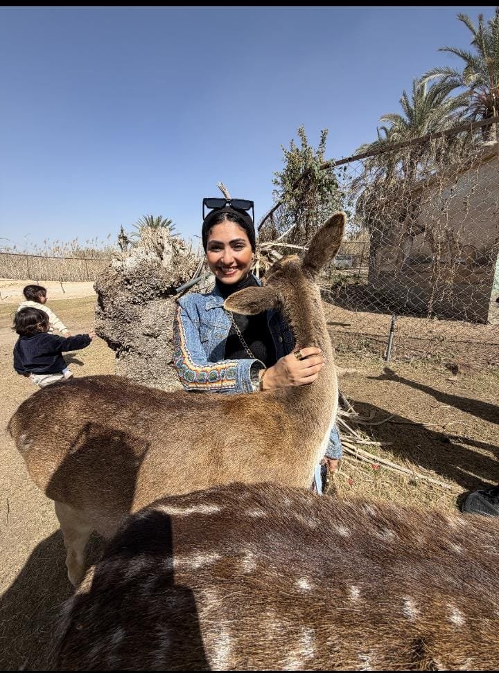 Group trips at discounted prices - Africano Park