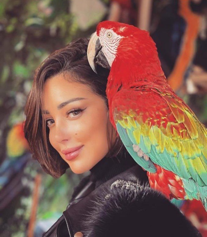 offers on Africano park trio from cairo - Africano Park